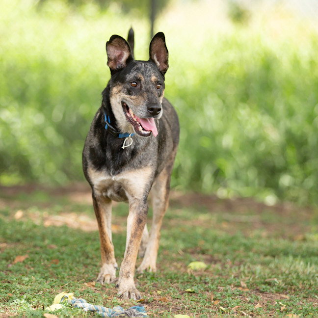 Photo of Max