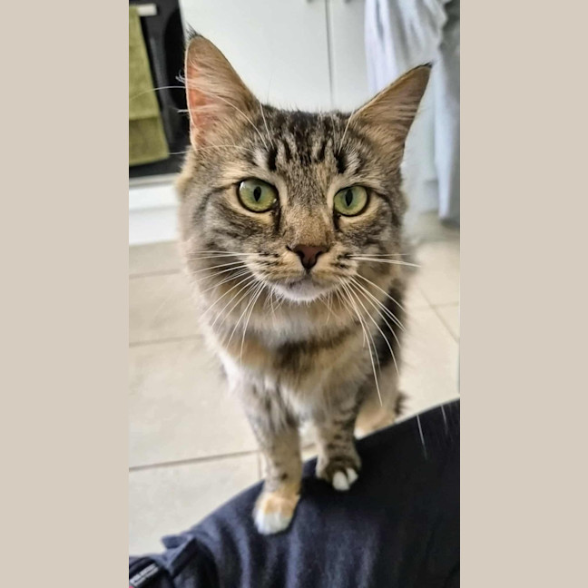 Photo of Jupiter 🩷