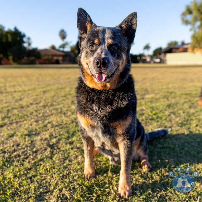 Photo of Tex
