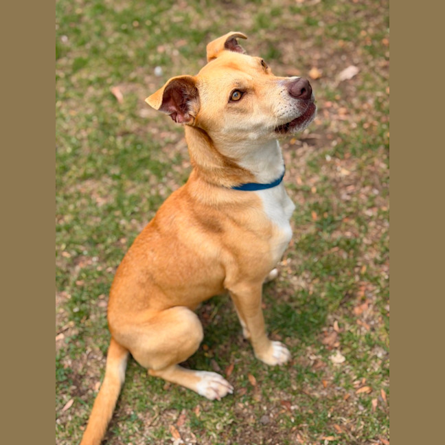 Photo of Nilla