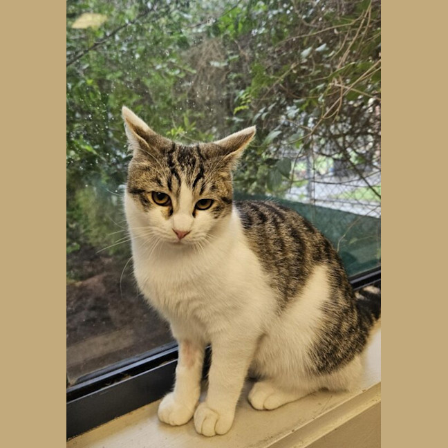 Photo of Ernie