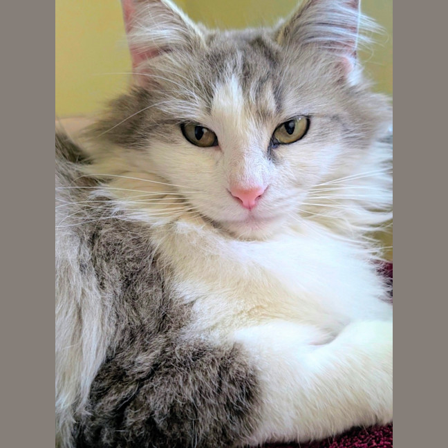 Photo of Roxy 