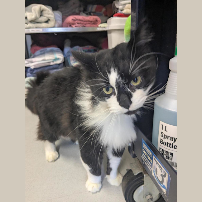 Photo of 🥨 Hamish 7370 🥨