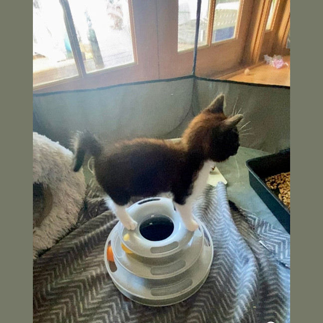 Photo of Maggie ‘Magpie’