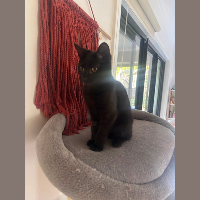 Photo of Princess