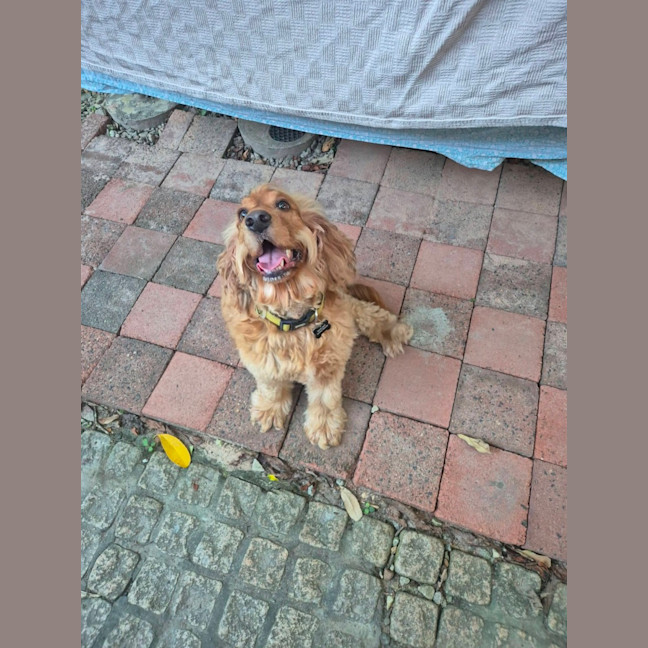 Photo of Walter