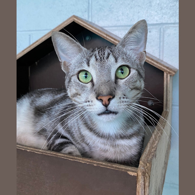 Photo of Boomer