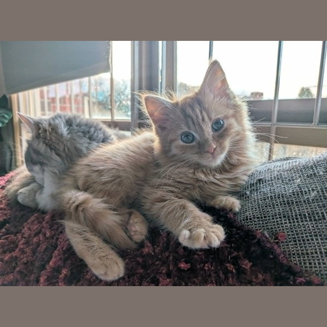 Photo of Bert