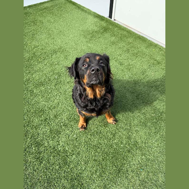 Photo of Maggie May