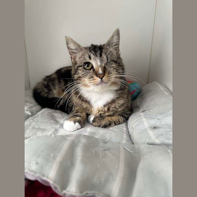 Photo of Chloe