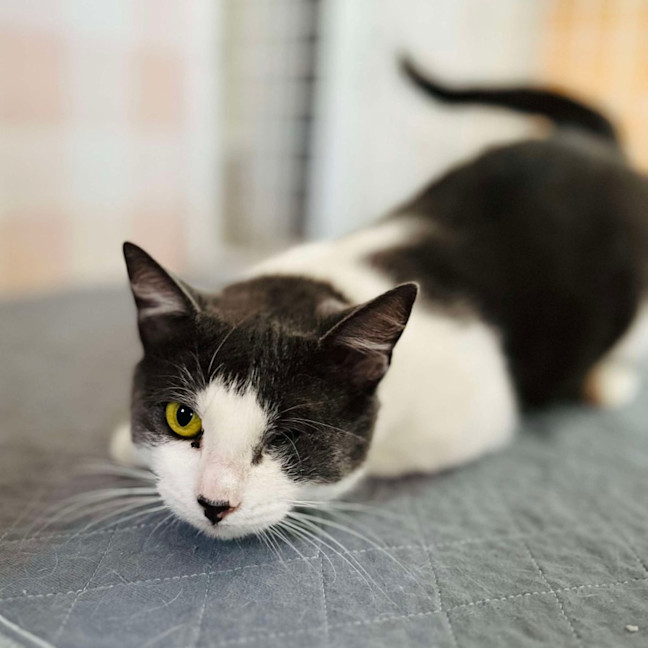 Photo of Bonnie   Located In Preston