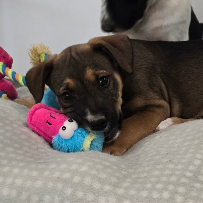 Photo of Marceline The Vampire Queen