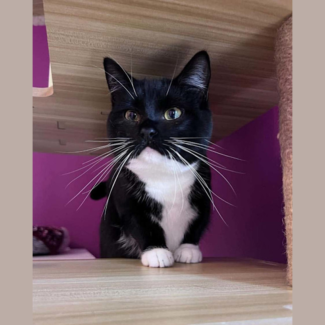 Photo of Elsie
