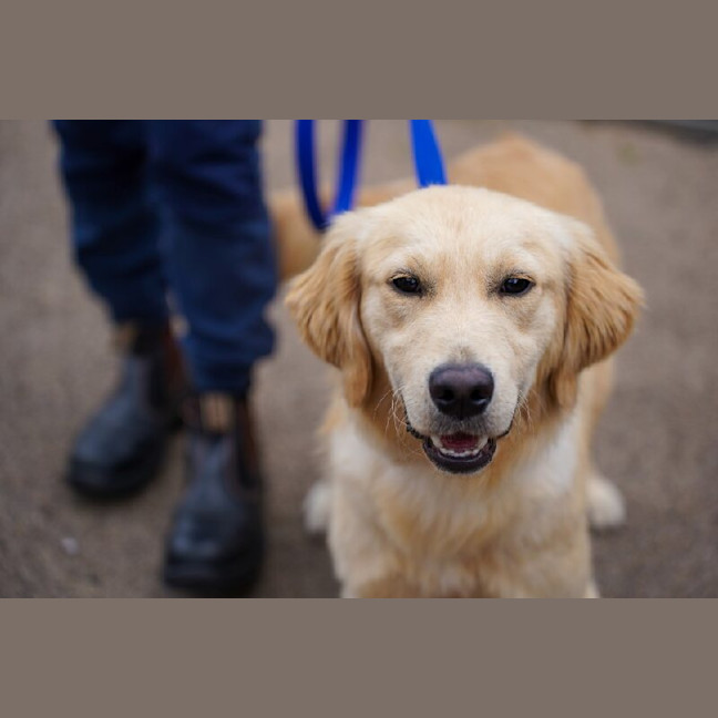 Photo of Arlo