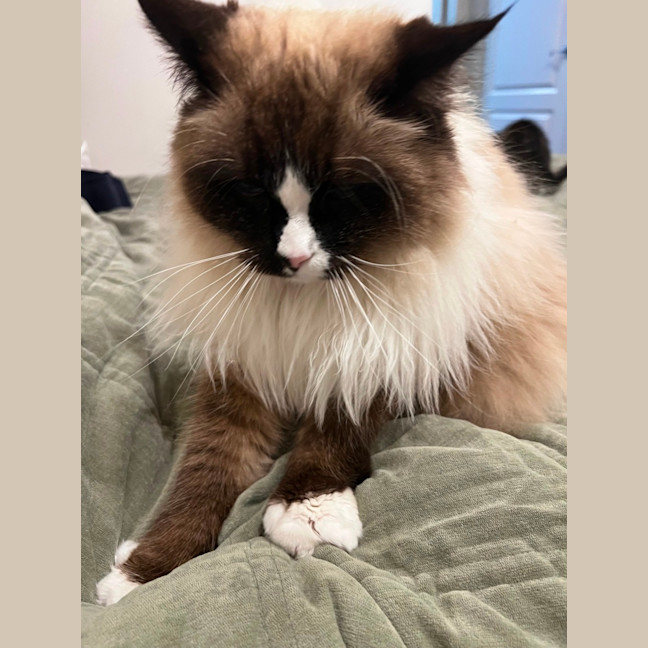Photo of Oliver
