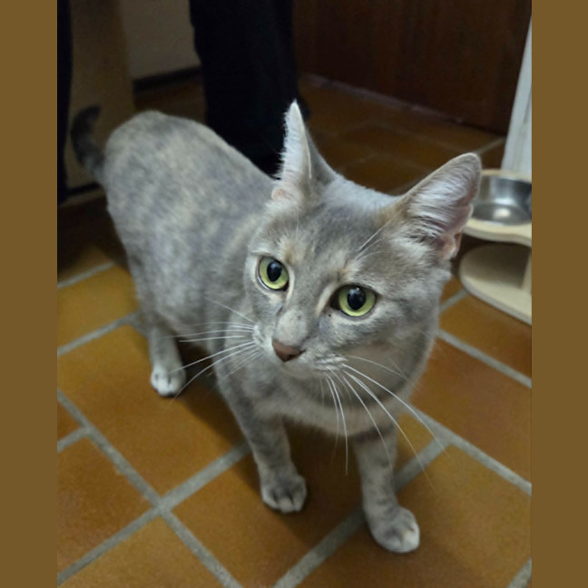 Photo of Luna