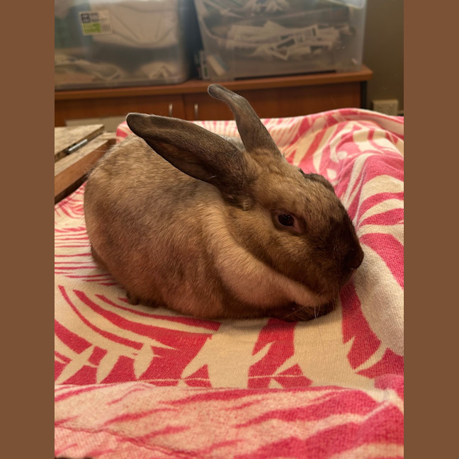 Photo of Boots