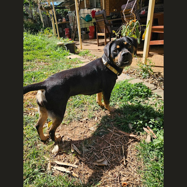 Photo of Emmy 
