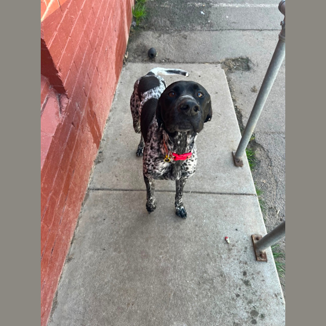 Photo of Murphy