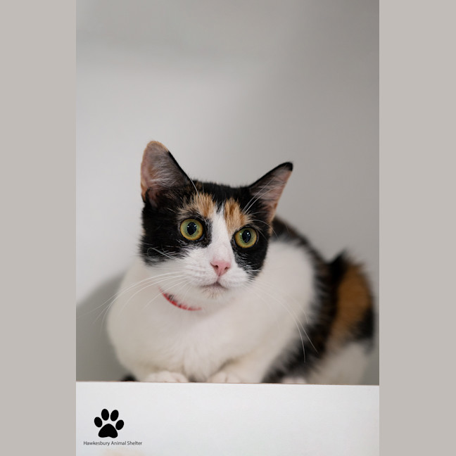 Photo of Sandy