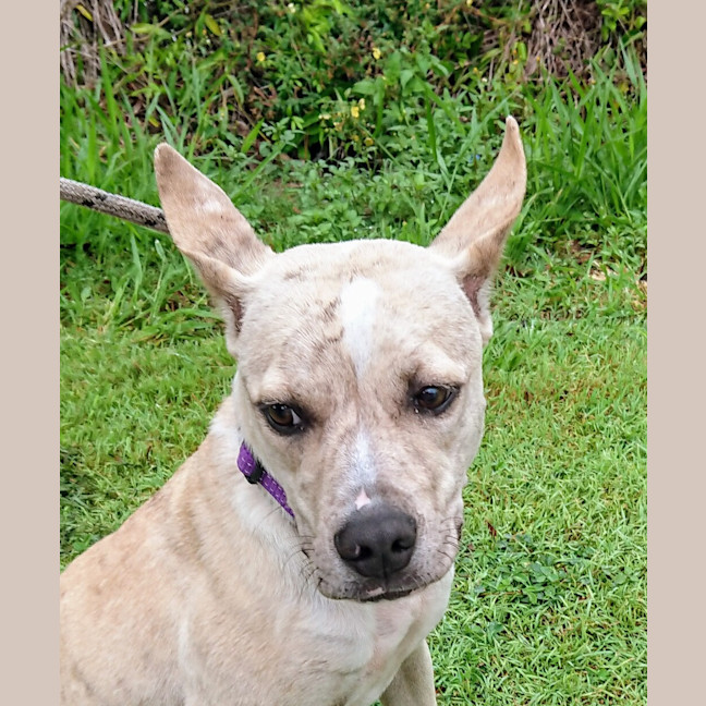 Photo of Maggie