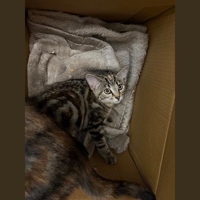 Photo of Dotty