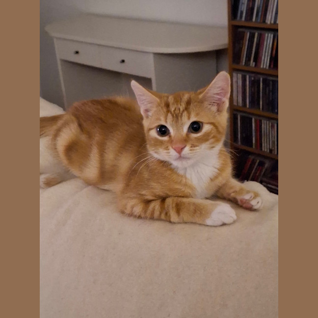 Photo of Garfield