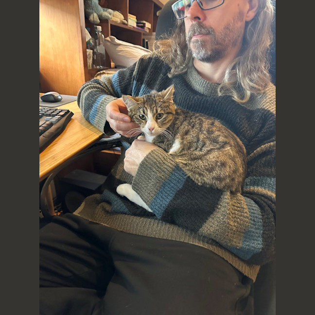 Photo of Cherry And Blossom