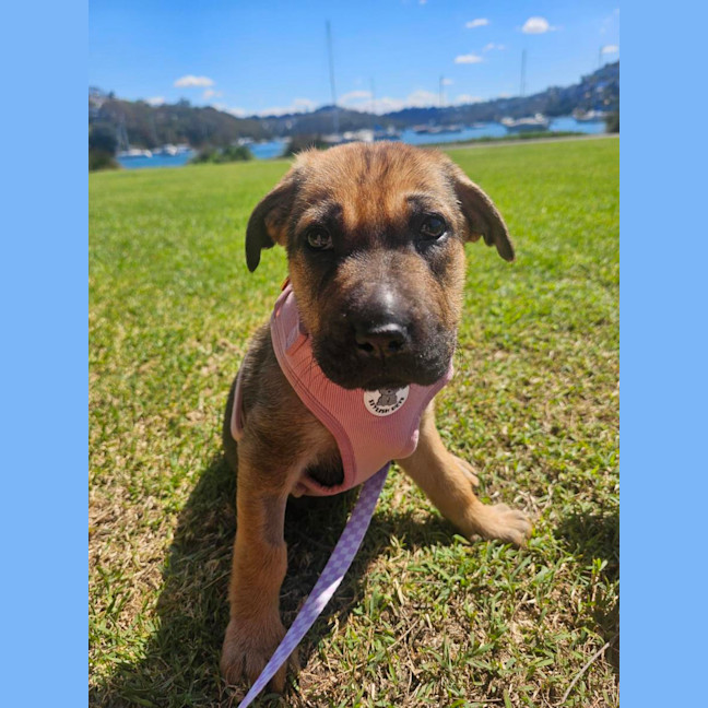 Photo of Jelly