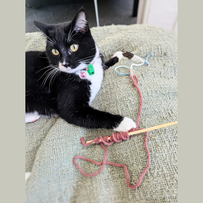 Photo of Sundae