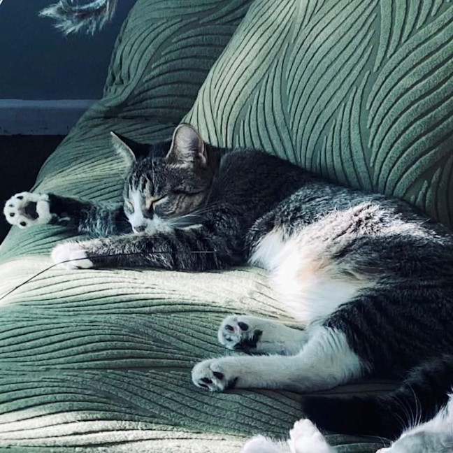 Photo of Ruby
