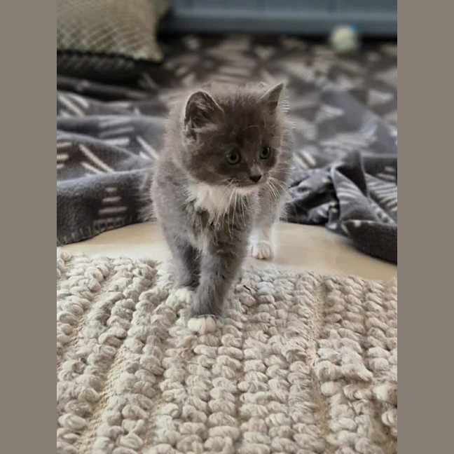 Photo of Roxy