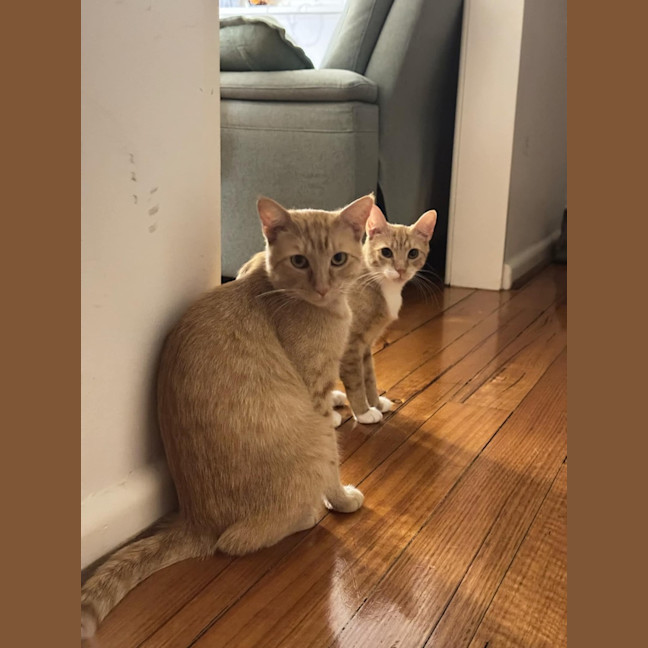 Photo of Saige & Charlie 