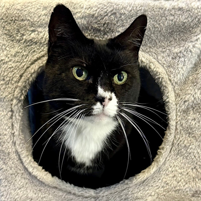 Photo of Mildred