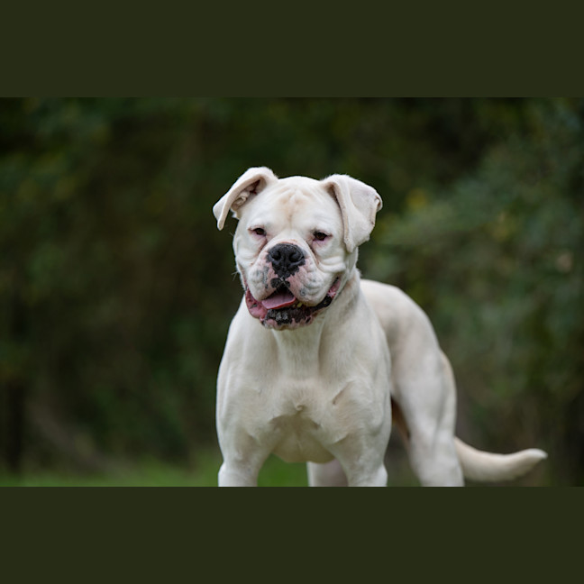 Photo of Beny