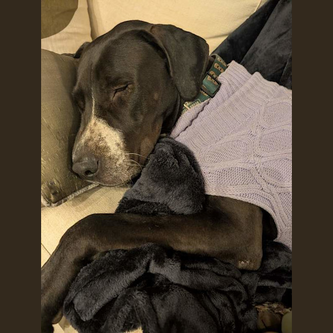 Photo of Buster
