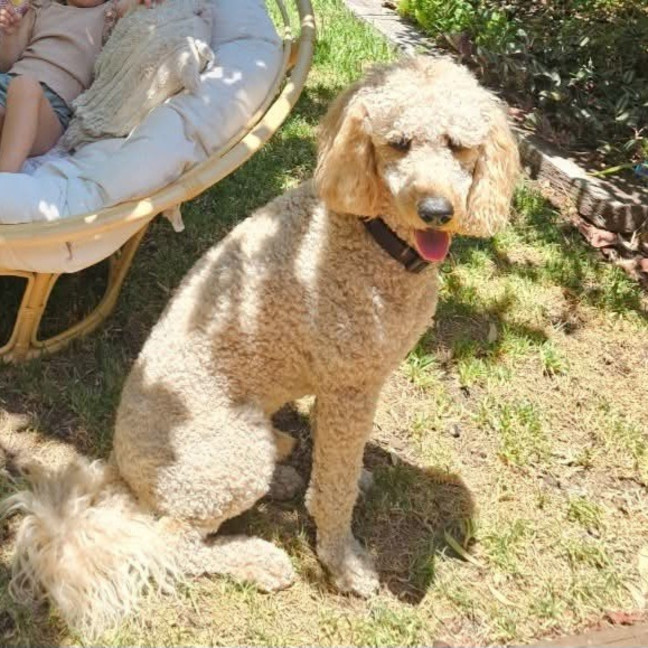 Photo of Mo