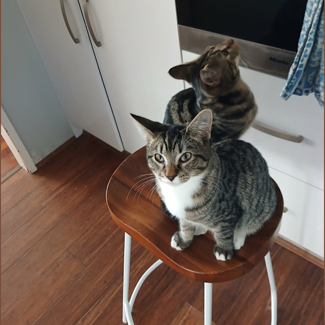 Photo of Arthur & Charles