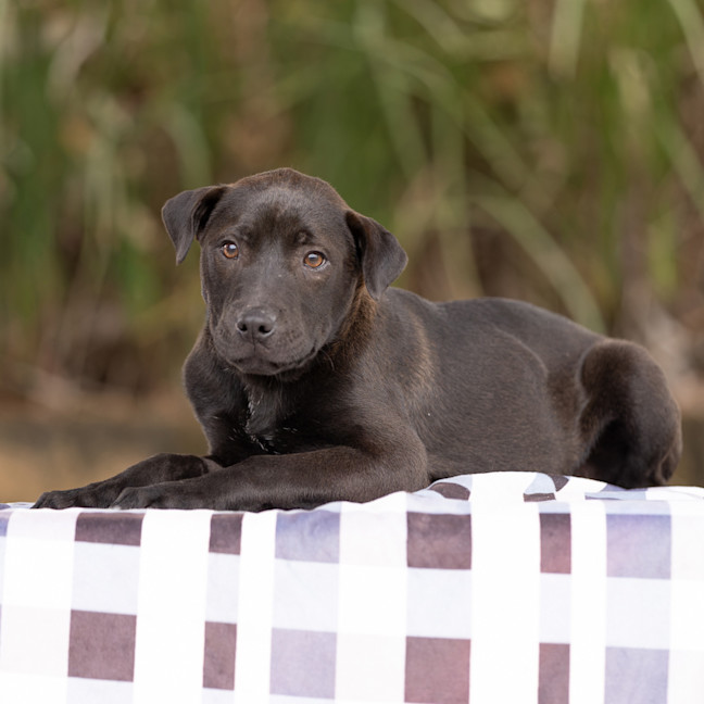 Photo of Malcom