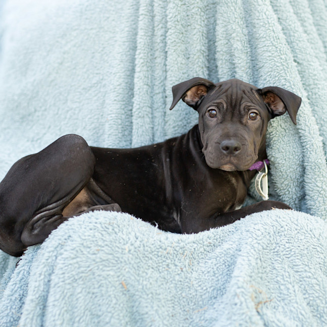 Photo of Winnie (Was Maple)