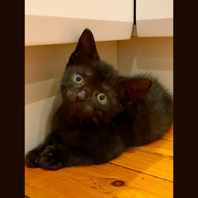 Photo of Doug 
