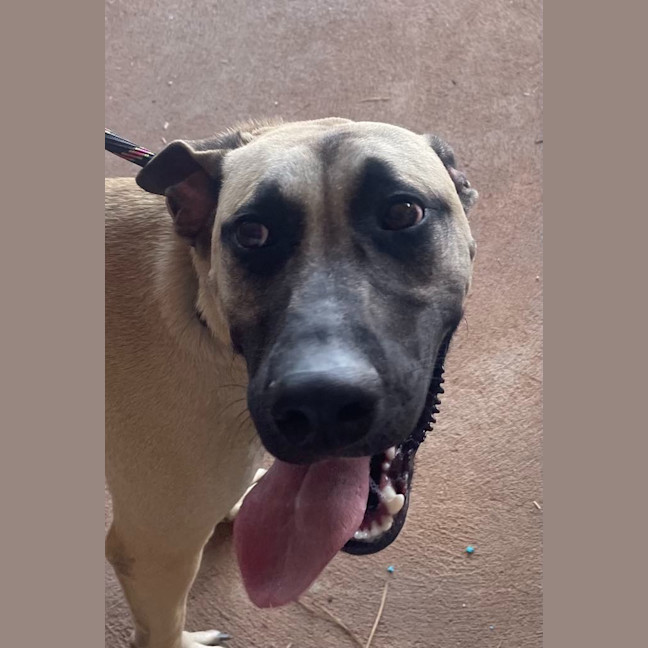 Photo of Marcel (Max)