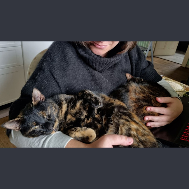 Photo of Bonnie