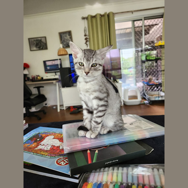 Photo of Jasper