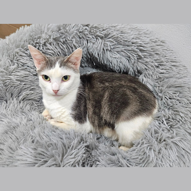 Photo of Mabel