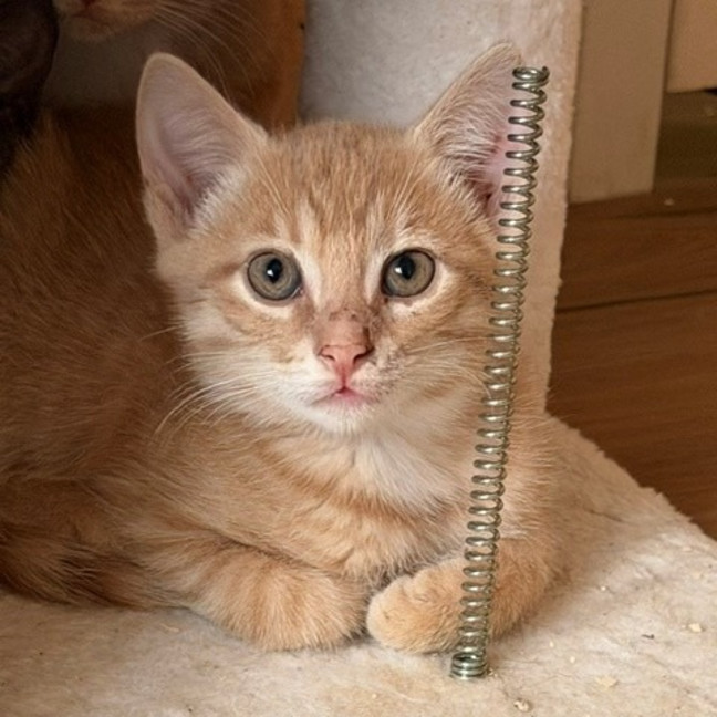 Photo of Butter