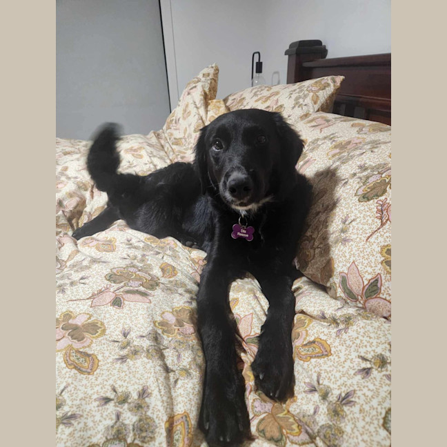 Photo of Lilly