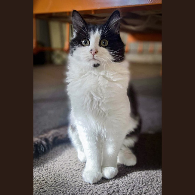 Photo of Maggie