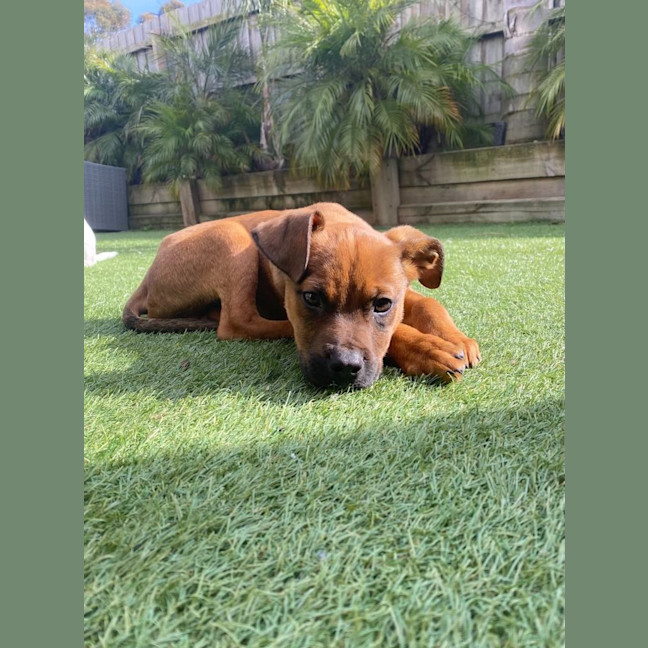 Photo of Freddy