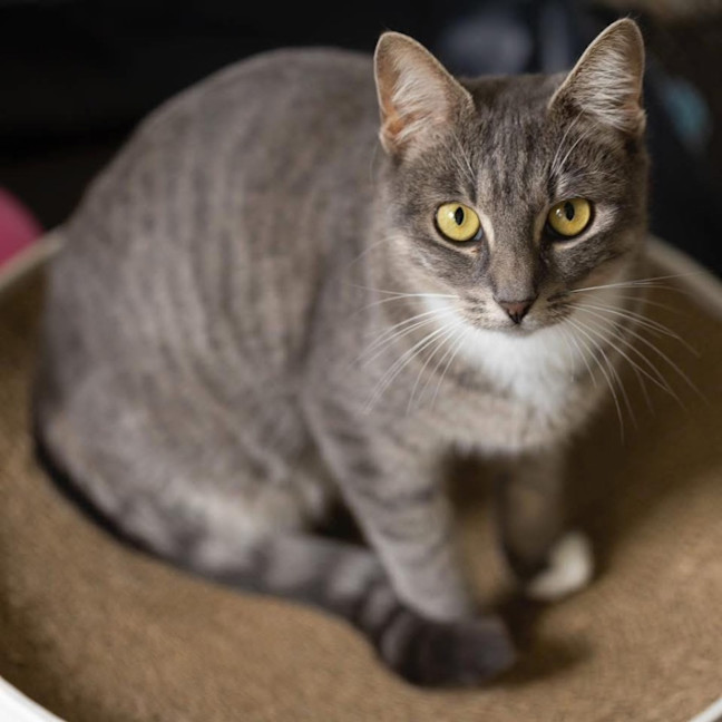 Photo of 12313   Mary Jane 